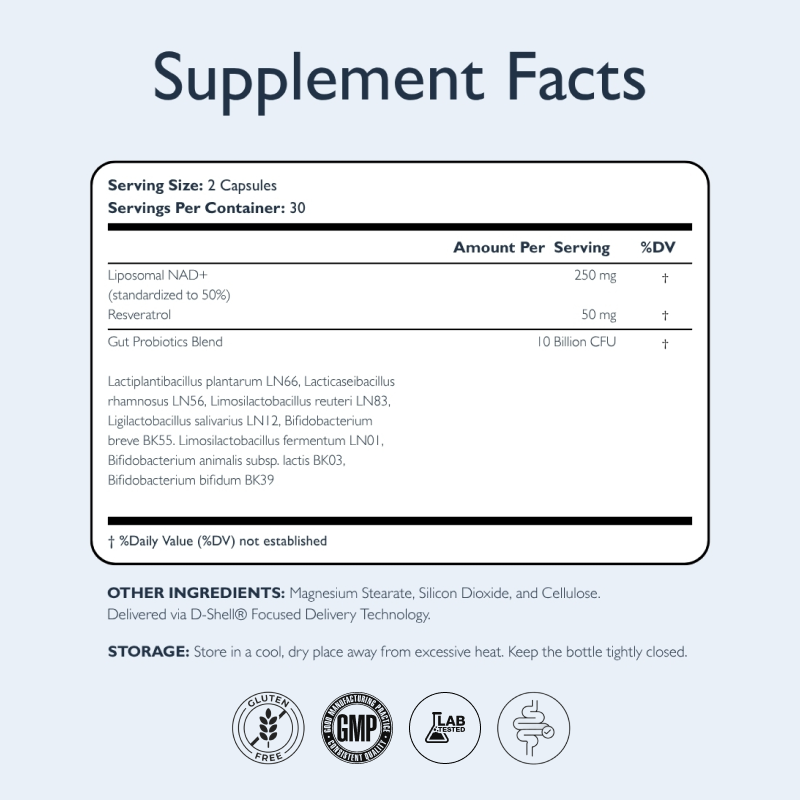 ELEVATE NAD+ with Gut Probiotics