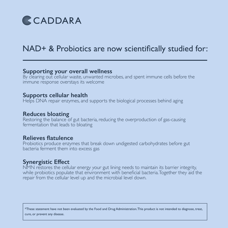 ELEVATE NAD+ with Gut Probiotics
