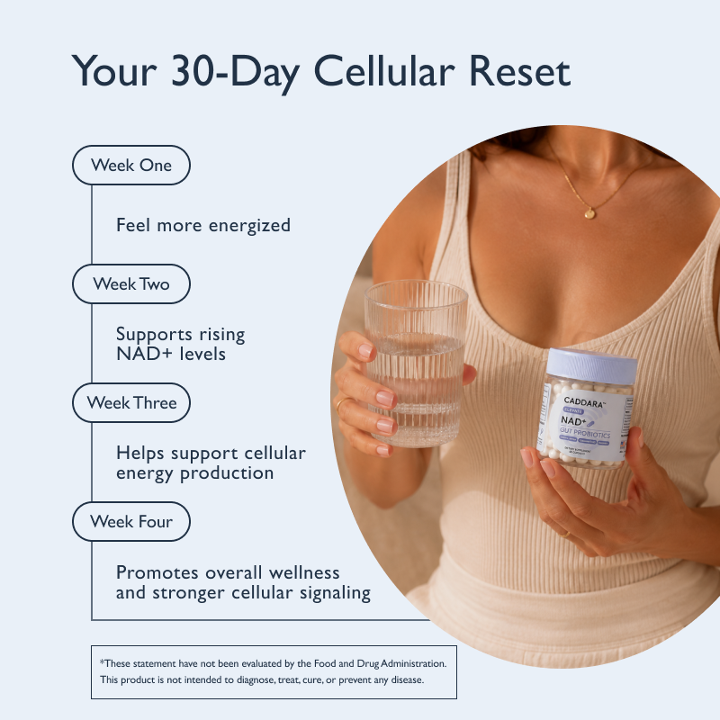 ACTIVATE NMN with Gut Probiotics